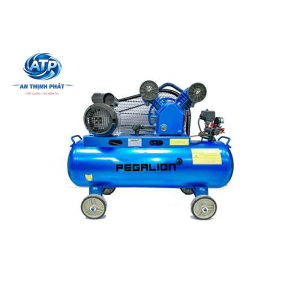 Máy nén khí dây đai Pegalion TM-V-0.17/8-120L
