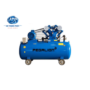 MÁY NÉN KHÍ DÂY ĐAI PEGALION TM-V-1.05/12.5-500L (V1)