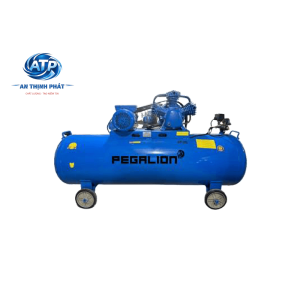 MÁY NÉN KHÍ DÂY ĐAI PEGALION TM-W-0.36/8-230L-220V