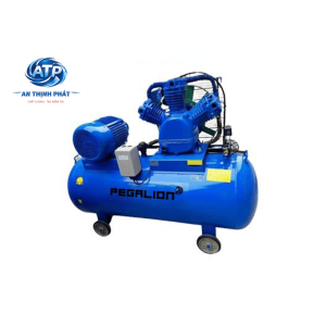 MÁY NÉN KHÍ DÂY ĐAI PEGALION TM-W-1.6/8-500L (V1)