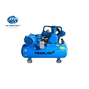 MÁY NÉN KHÍ DÂY ĐAI PEGALION TM-W-2.0/8-330L (V1)