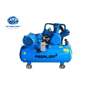 MÁY NÉN KHÍ DÂY ĐAI PEGALION TM-W-2.0/8-500L (V1)