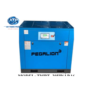 Máy nén khí trục vít Pegalion TMBT-30HP (1 6 MPA)