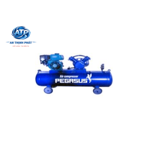 MÁY NÉN KHÍ ĐẦU NỔ CHẠY BẰNG XĂNG TM-V-0.25/8-120L (V1)